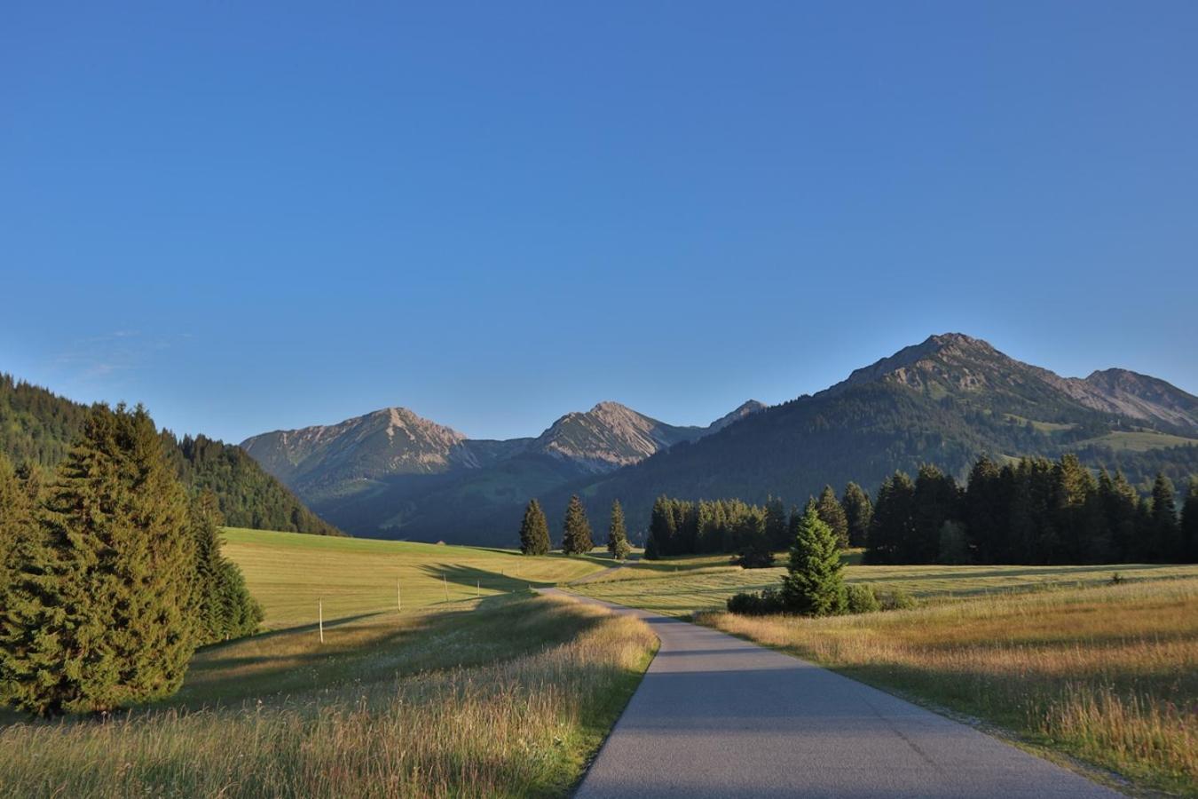 Ruhehotel & Naturresort Rehbach - Adults Only Шаттвальд Экстерьер фото