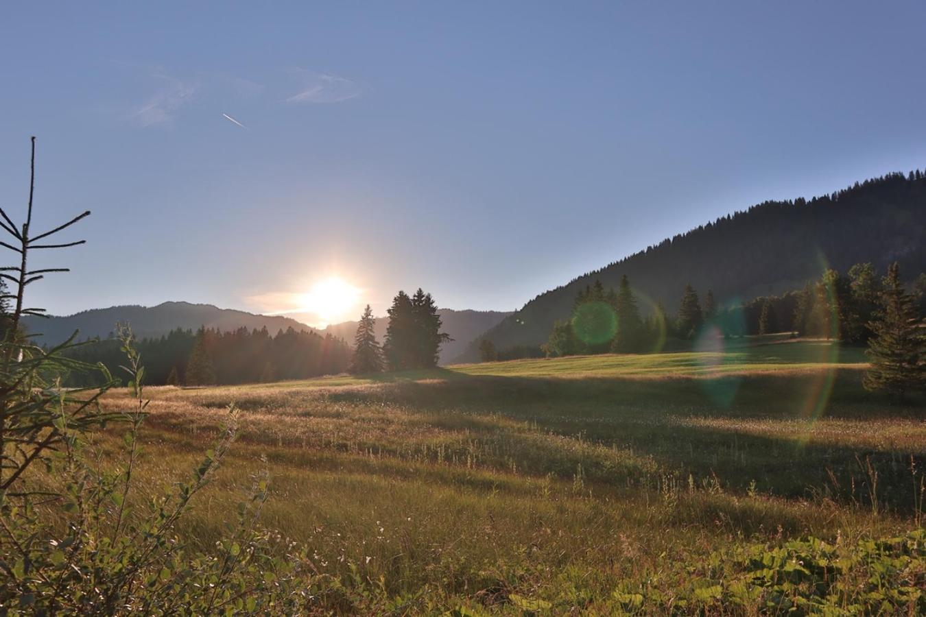 Ruhehotel & Naturresort Rehbach - Adults Only Шаттвальд Экстерьер фото