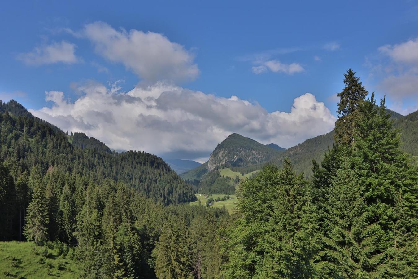 Ruhehotel & Naturresort Rehbach - Adults Only Шаттвальд Экстерьер фото