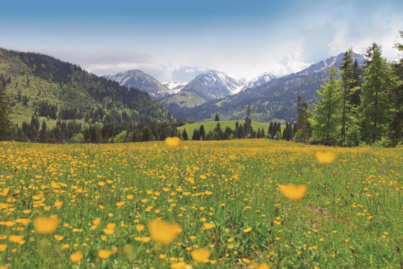Ruhehotel & Naturresort Rehbach - Adults Only Шаттвальд Экстерьер фото