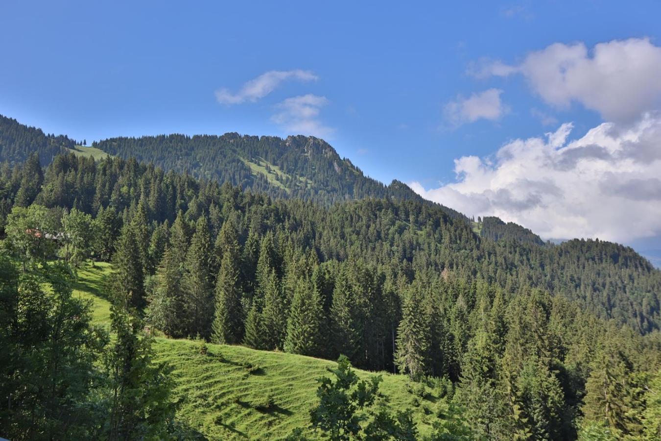 Ruhehotel & Naturresort Rehbach - Adults Only Шаттвальд Экстерьер фото