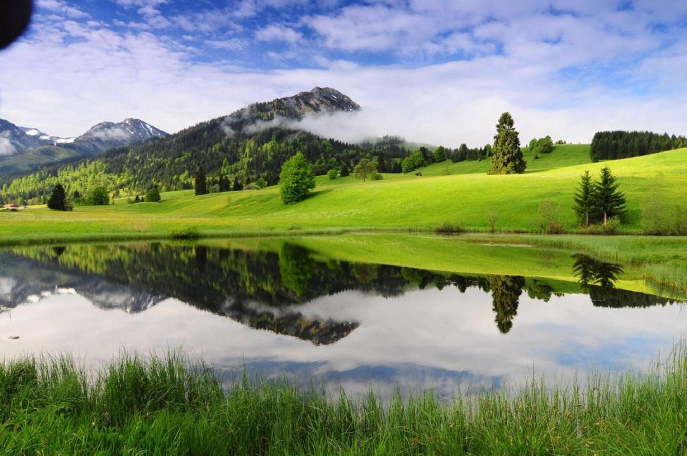 Ruhehotel & Naturresort Rehbach - Adults Only Шаттвальд Экстерьер фото